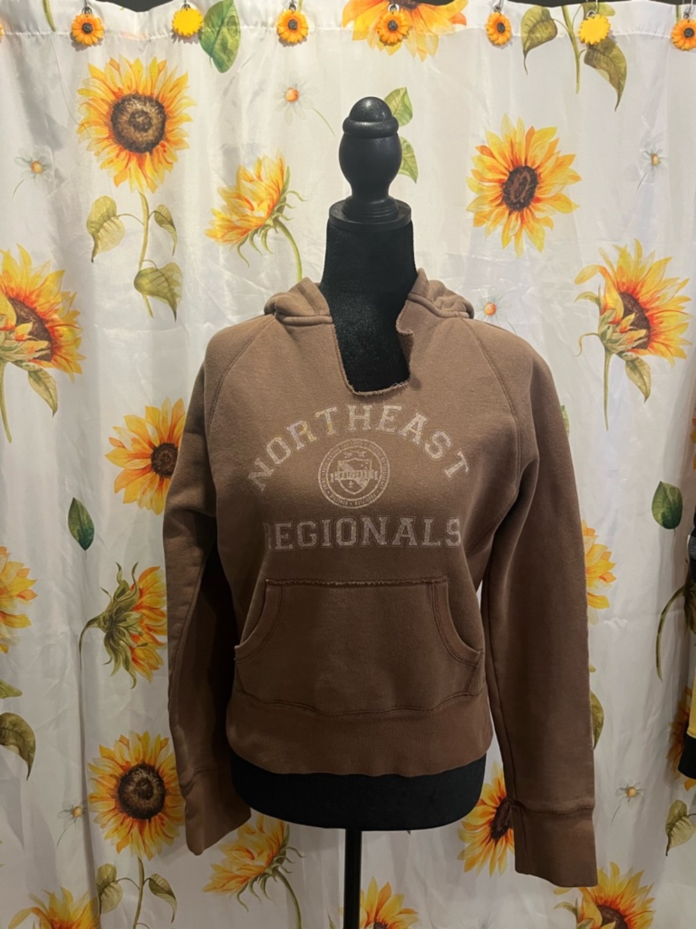 Abercrombie & Fitch Brown Hooded Sweatshirt